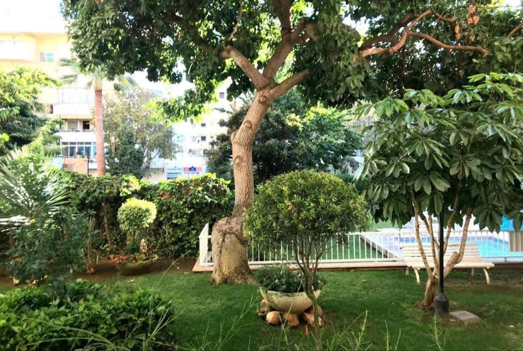 מארבלה Central Beach Apartment With Free Parking And Pool מראה חיצוני תמונה